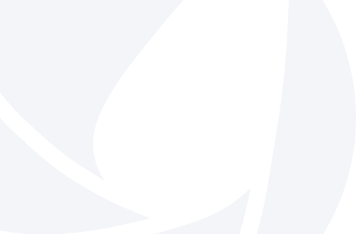 form background